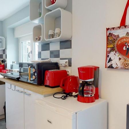 Studio Avec Parking Rue De La Semm Кольмар Екстер'єр фото