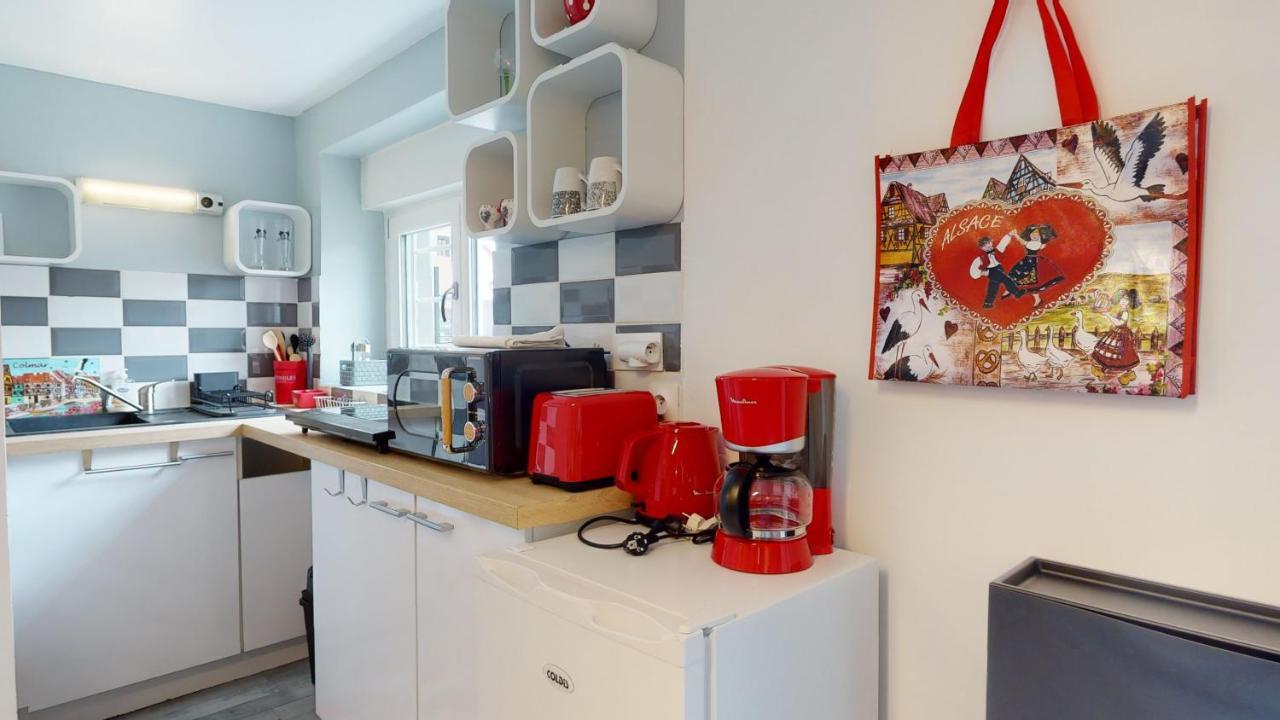 Studio Avec Parking Rue De La Semm Кольмар Екстер'єр фото